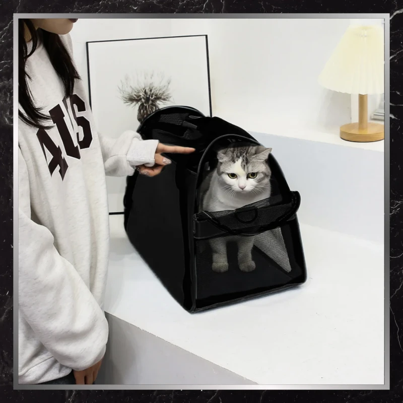 BAD&BAGS transporter czarny dla kota małego psa torba do samochodu 2.webp