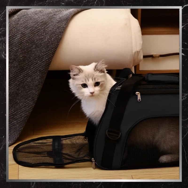 BAD&BAGS transporter czarny dla kota małego psa torba do samochodu 3.webp