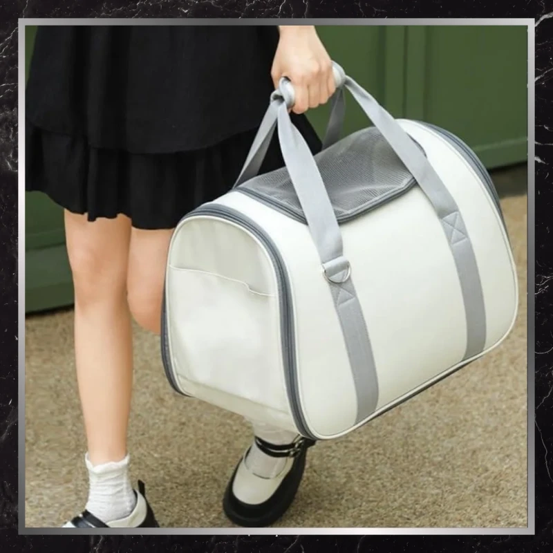 BAD&BAGS transporter beżowy dla kota małego psa torba do samochodu 2.webp