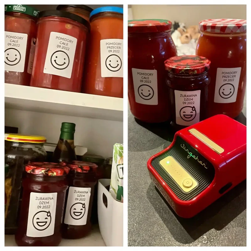 NIIMBOT D101 Drukarka Termiczna Etykieciarka Wersja PL 7.webp