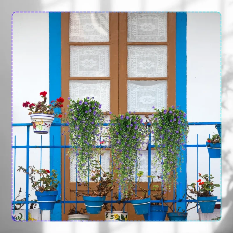 5_wynik.webp