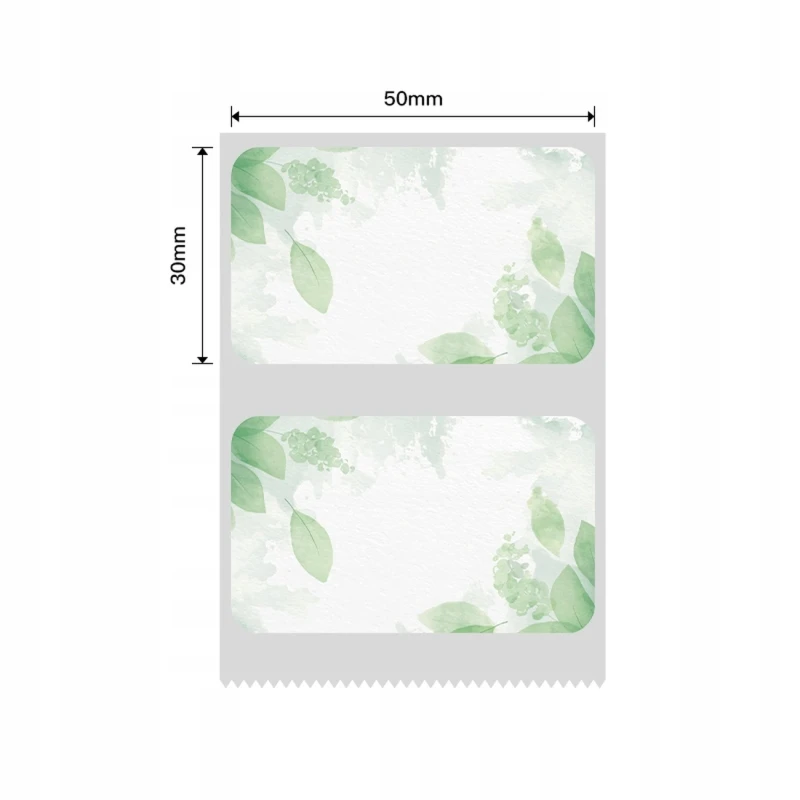 NIIMBOT B21 B3S B1 Etykiety 50x30mm Liście 230 sztuk Samoprzylepne 1.webp