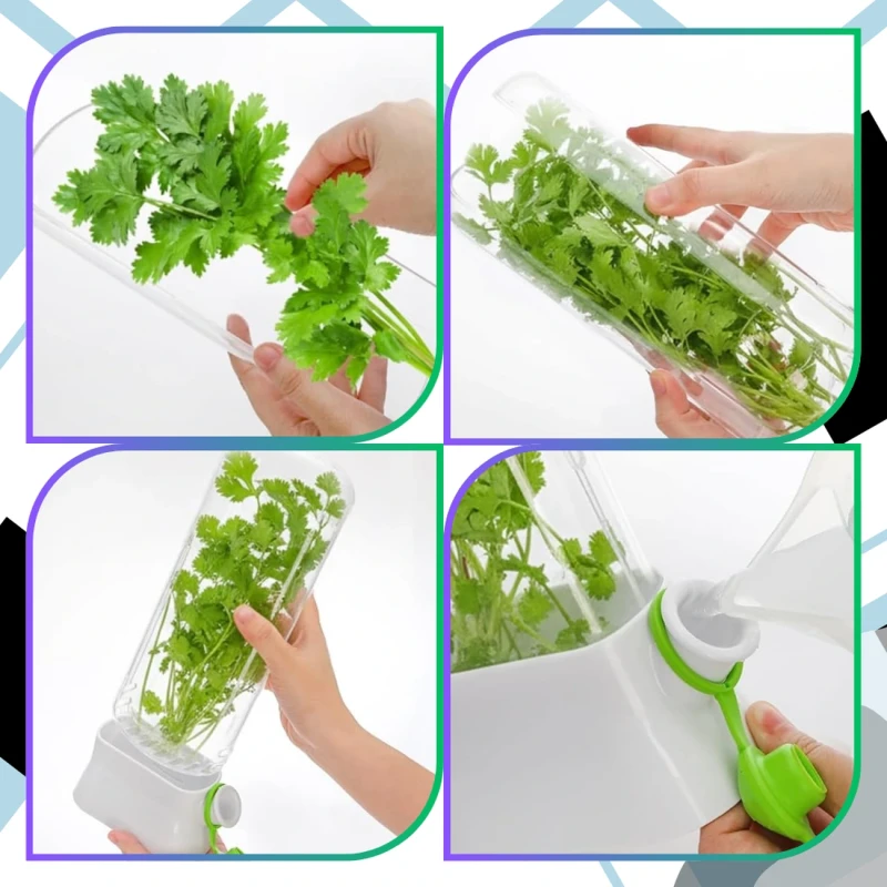 Pojemnik Na Zioła Duży Organizer Do Lodówki Warzywa Świeżość 27cm9.webp